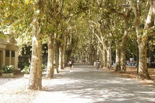 appartamento in vendita a Viareggio in zona Don Bosco