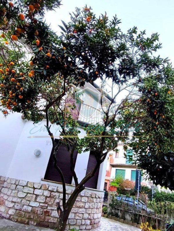 casa indipendente in vendita a Viareggio in zona Campo d'Aviazione