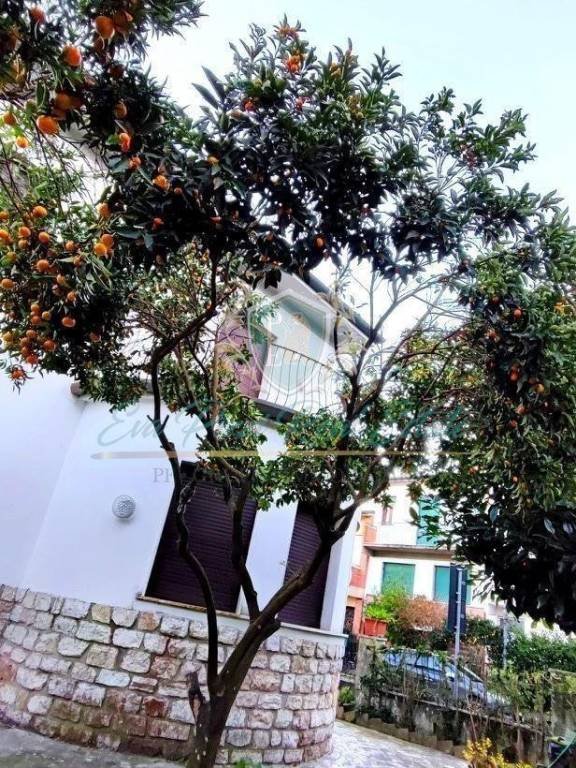 casa indipendente in vendita a Viareggio