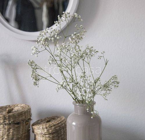 appartamento in vendita a Viareggio in zona Torre del Lago