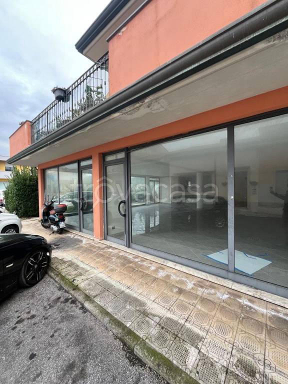 negozio in vendita a Viareggio