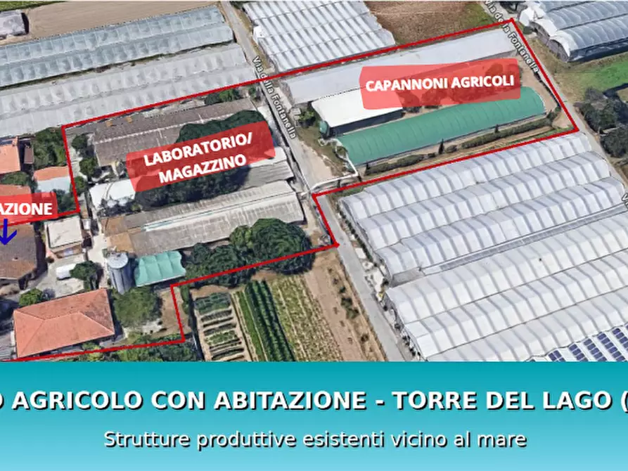 locale di sgombero in vendita a Viareggio in zona Torre del Lago