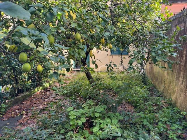 appartamento in vendita a Viareggio