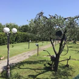 terreno agricolo in vendita a Viareggio in zona Torre del Lago