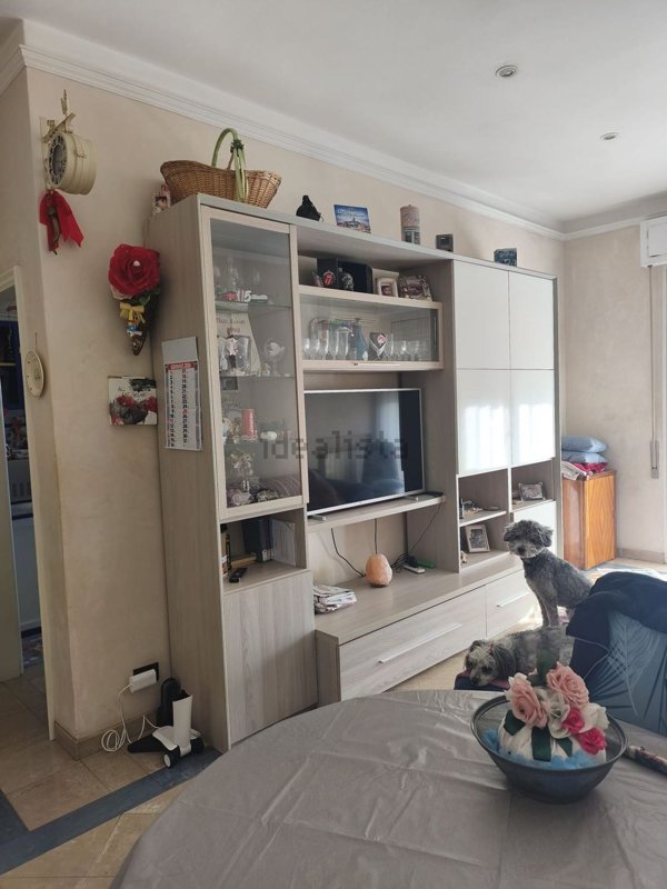 appartamento in vendita a Viareggio