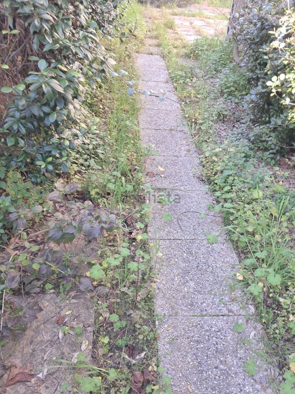 appartamento in vendita a Viareggio