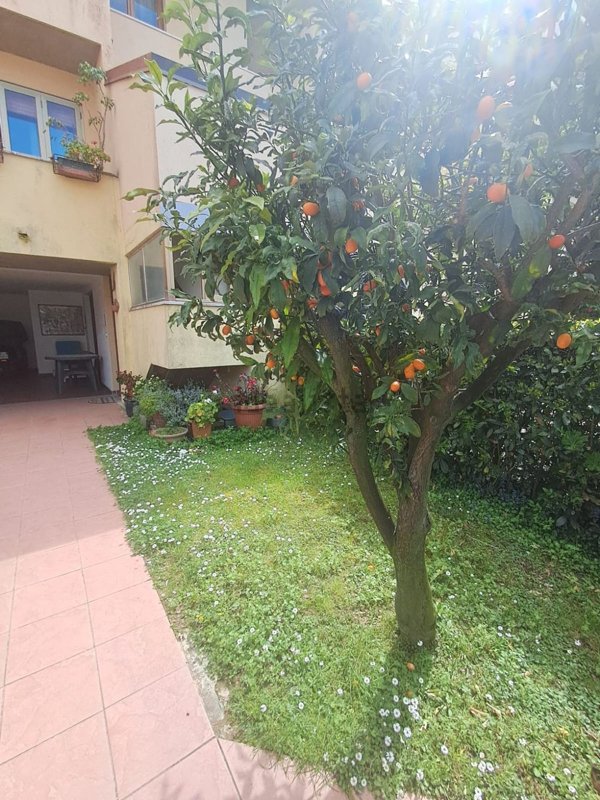casa indipendente in vendita a Viareggio