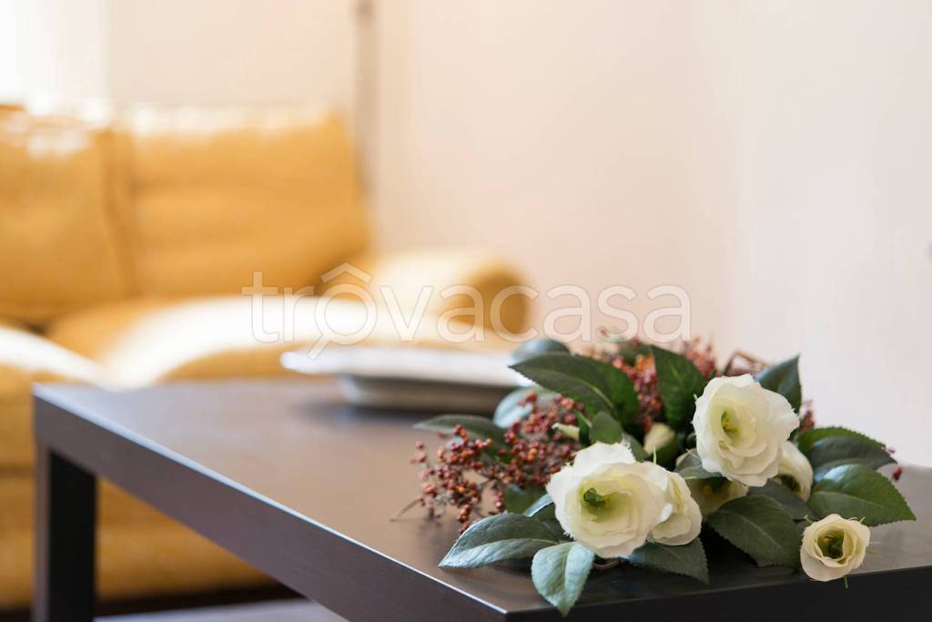 appartamento in vendita a Viareggio