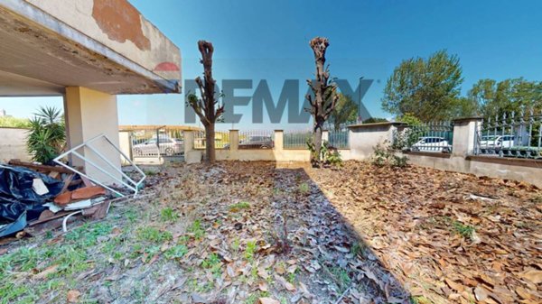 casa indipendente in vendita a Viareggio in zona Torre del Lago