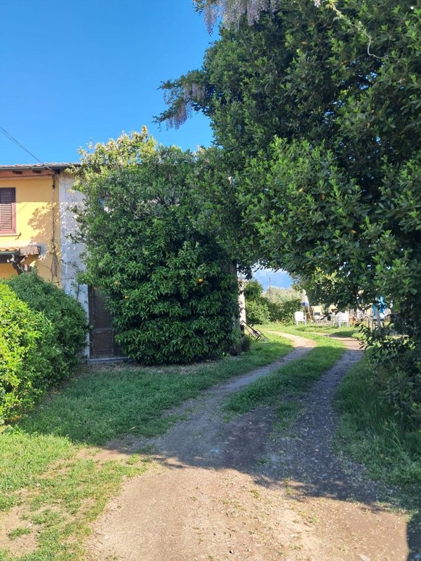 casa indipendente in vendita a Viareggio