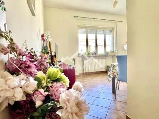 appartamento in vendita a Viareggio in zona Don Bosco