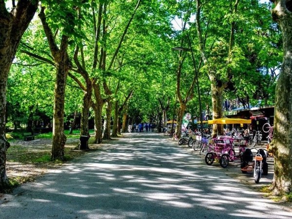 appartamento in vendita a Viareggio in zona Centro Storico