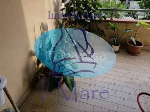 appartamento in vendita a Viareggio in zona Torre del Lago
