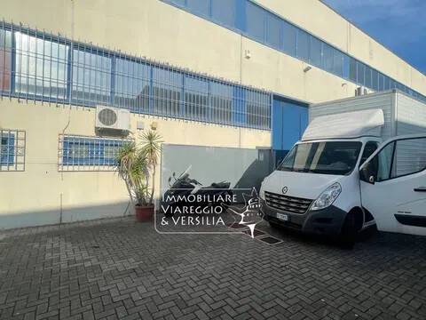 negozio in vendita a Viareggio