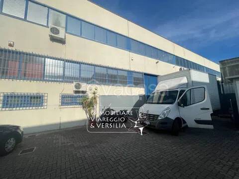 negozio in vendita a Viareggio