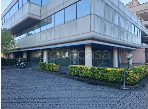negozio in vendita a Viareggio