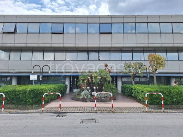 negozio in vendita a Viareggio