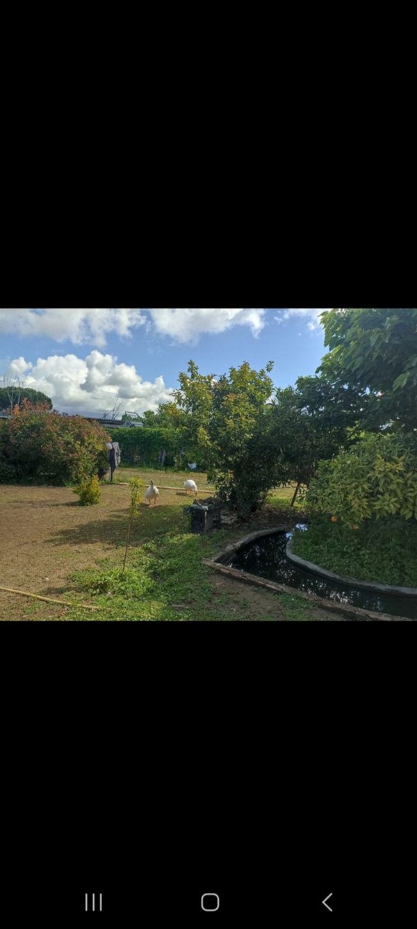 casa indipendente in vendita a Viareggio