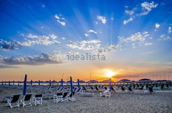 negozio in vendita a Viareggio