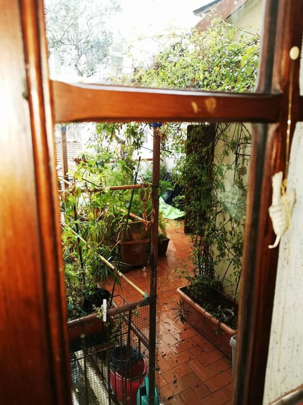 casa indipendente in vendita a Viareggio in zona Centro Storico