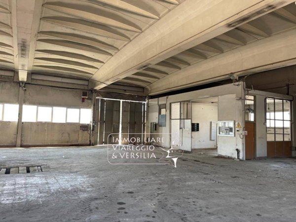locale di sgombero in vendita a Viareggio