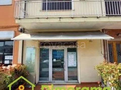 negozio in vendita a Viareggio