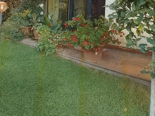 casa indipendente in vendita a Viareggio in zona Campo d'Aviazione