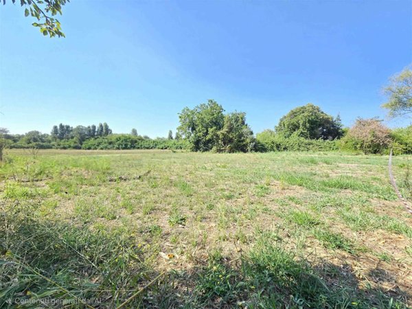 terreno agricolo in vendita a Viareggio in zona Marco Polo