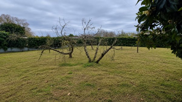 terreno agricolo in vendita a Viareggio