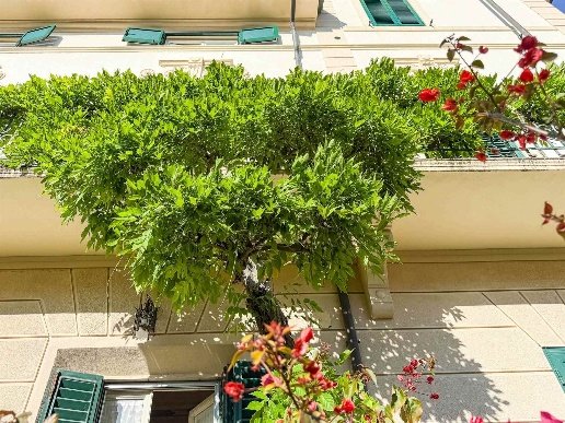 casa indipendente in vendita a Viareggio in zona Centro Storico