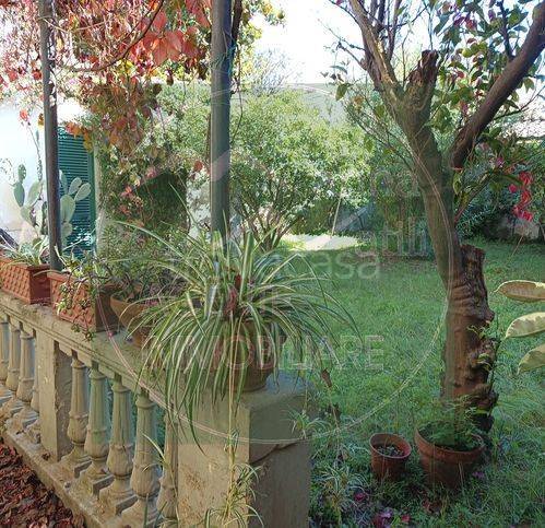 casa indipendente in vendita a Viareggio in zona Centro Storico