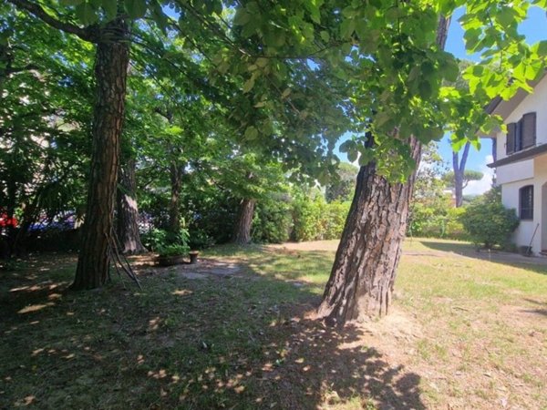casa indipendente in vendita a Viareggio in zona Don Bosco