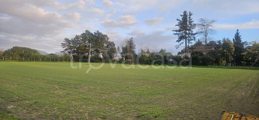 terreno agricolo in vendita a Viareggio