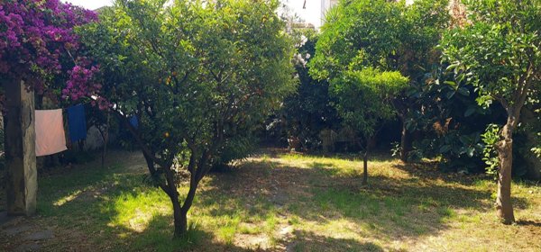 casa indipendente in vendita a Viareggio