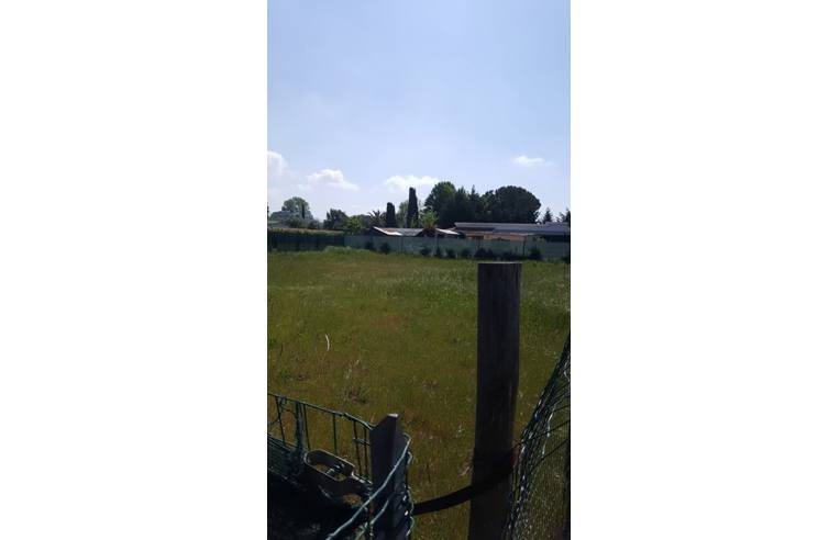 terreno agricolo in vendita a Viareggio