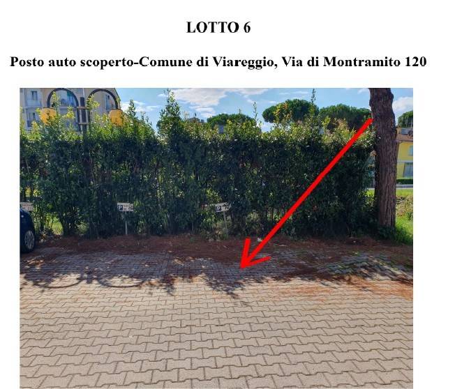box auto in vendita a Viareggio