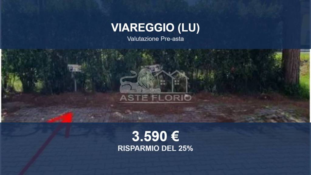 box auto in vendita a Viareggio