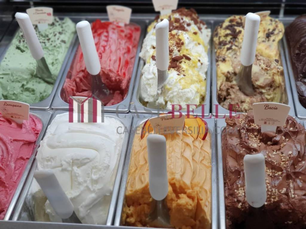 negozio in vendita a Viareggio