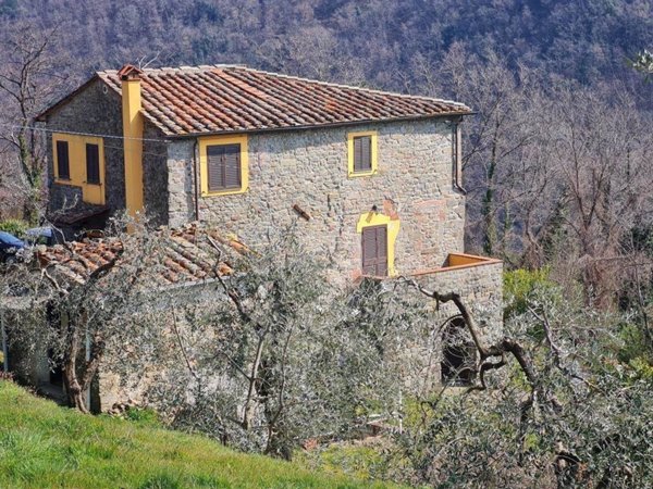 casa indipendente in vendita a Villa Basilica in zona Colognora