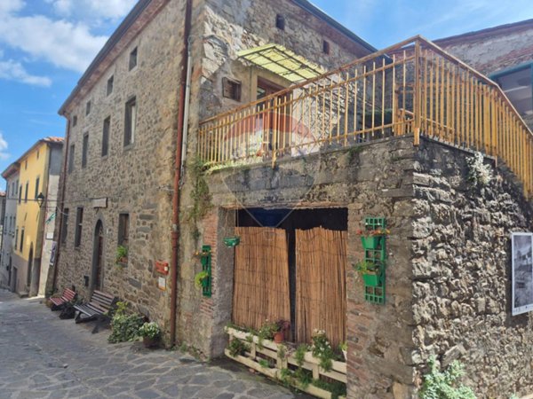 casa indipendente in vendita a Villa Basilica in zona Pariana