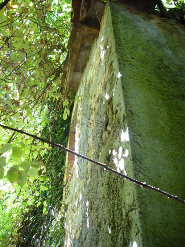 casa indipendente in vendita a Villa Basilica in zona Capornano