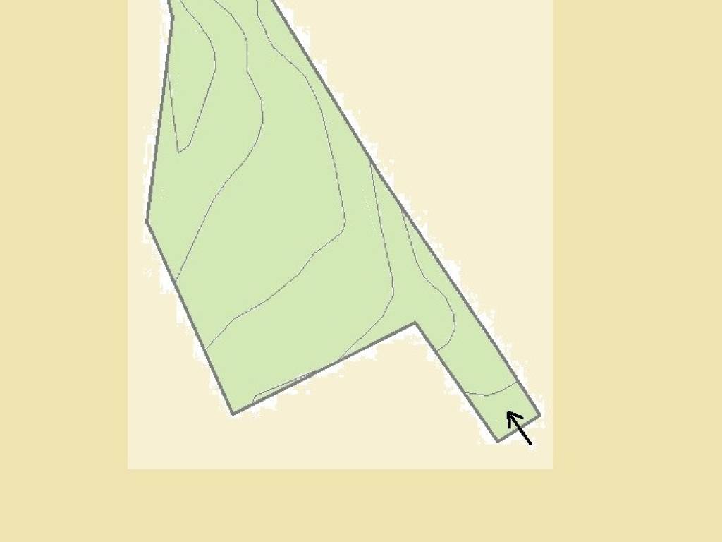 terreno agricolo in vendita a Villa Basilica