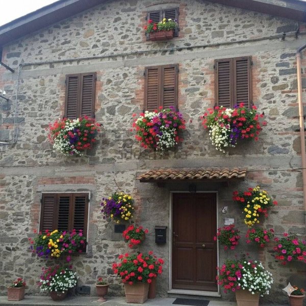 casa indipendente in vendita a Villa Basilica in zona Pariana