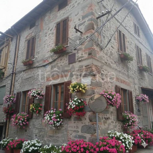 immagine annuncio 0 di 15