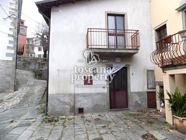 casa indipendente in vendita a Villa Collemandina