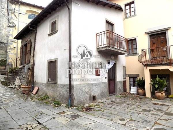 casa indipendente in vendita a Villa Collemandina