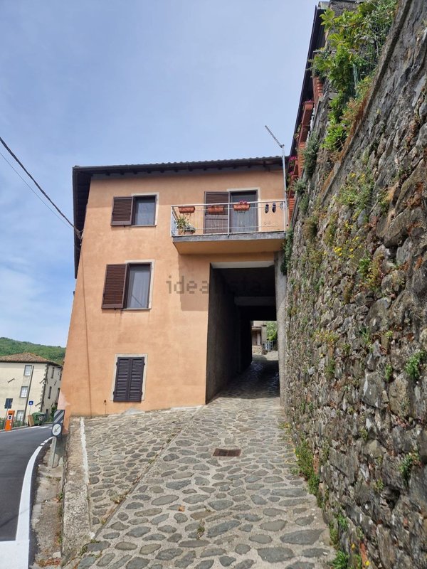 casa indipendente in vendita a Villa Collemandina in zona Magnano