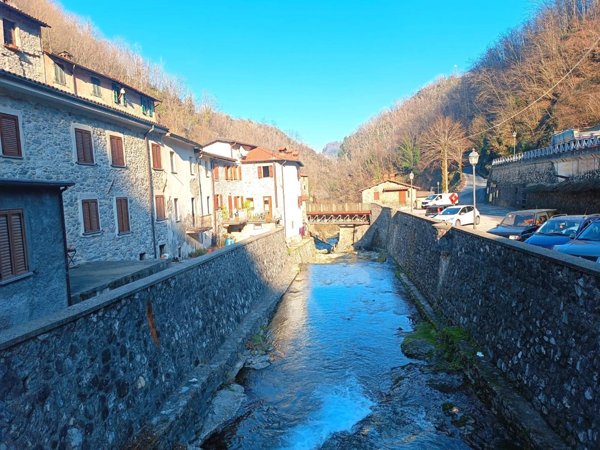 casa indipendente in vendita a Fabbriche di Vergemoli in zona Fornovolasco