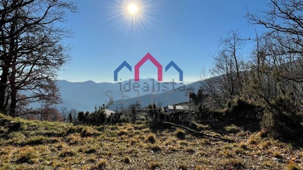 pentavano in vendita a Fabbriche di Vergemoli