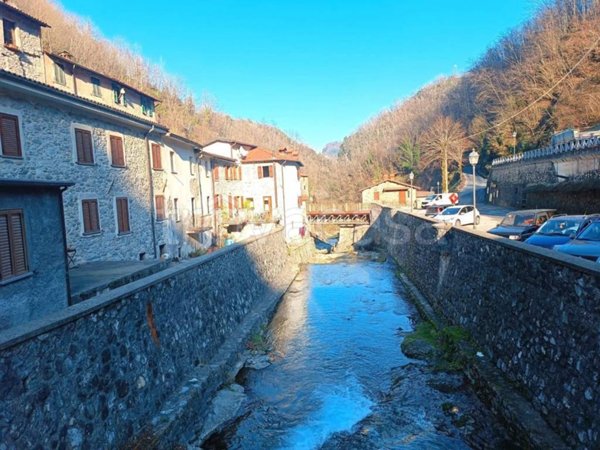 casa indipendente in vendita a Fabbriche di Vergemoli in zona Calomini
